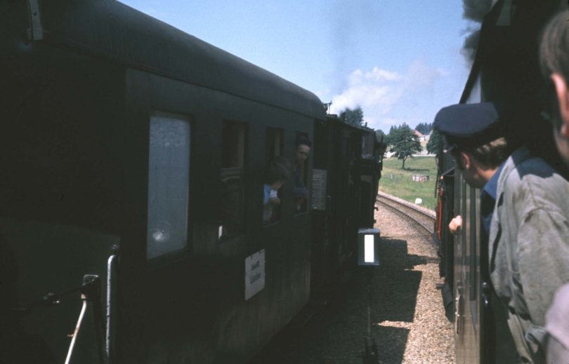 The train race - Narrow Gauge railway Photo Gallery