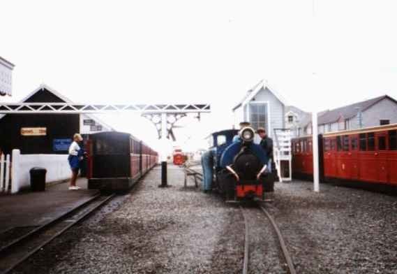 Sherpa at Fairbourne