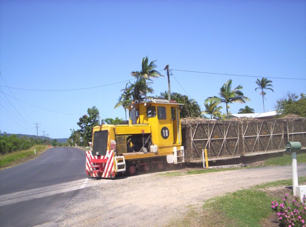 #18 about to cross Mourilyan Harbour Road. Sep-07.