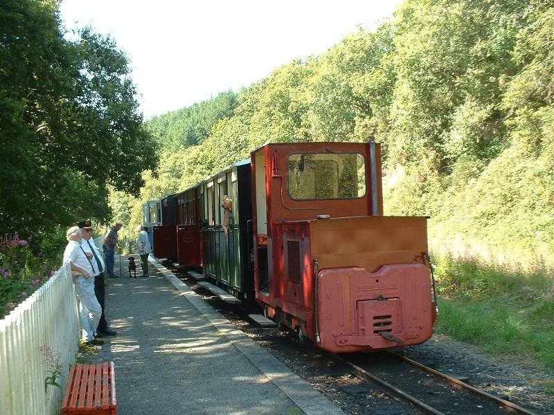 Train of the day