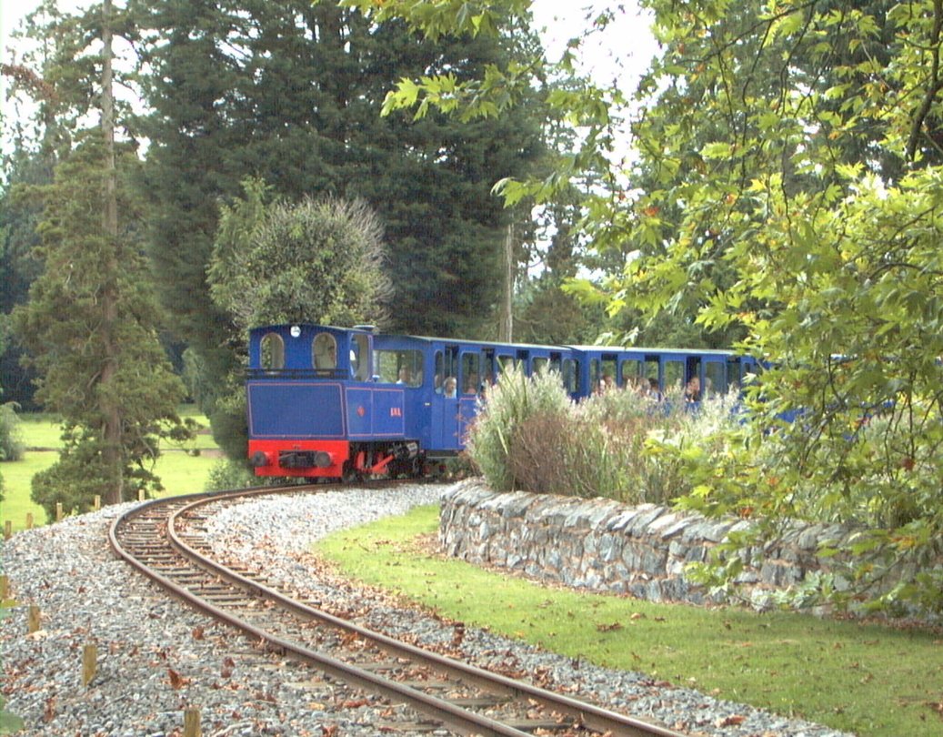 Train near the lake