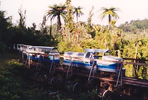 Rain Forest Express