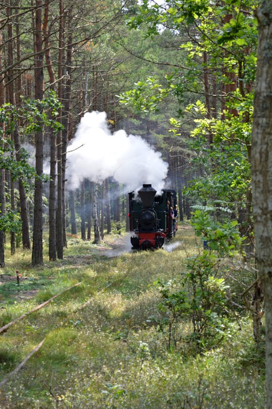 Overgrown track