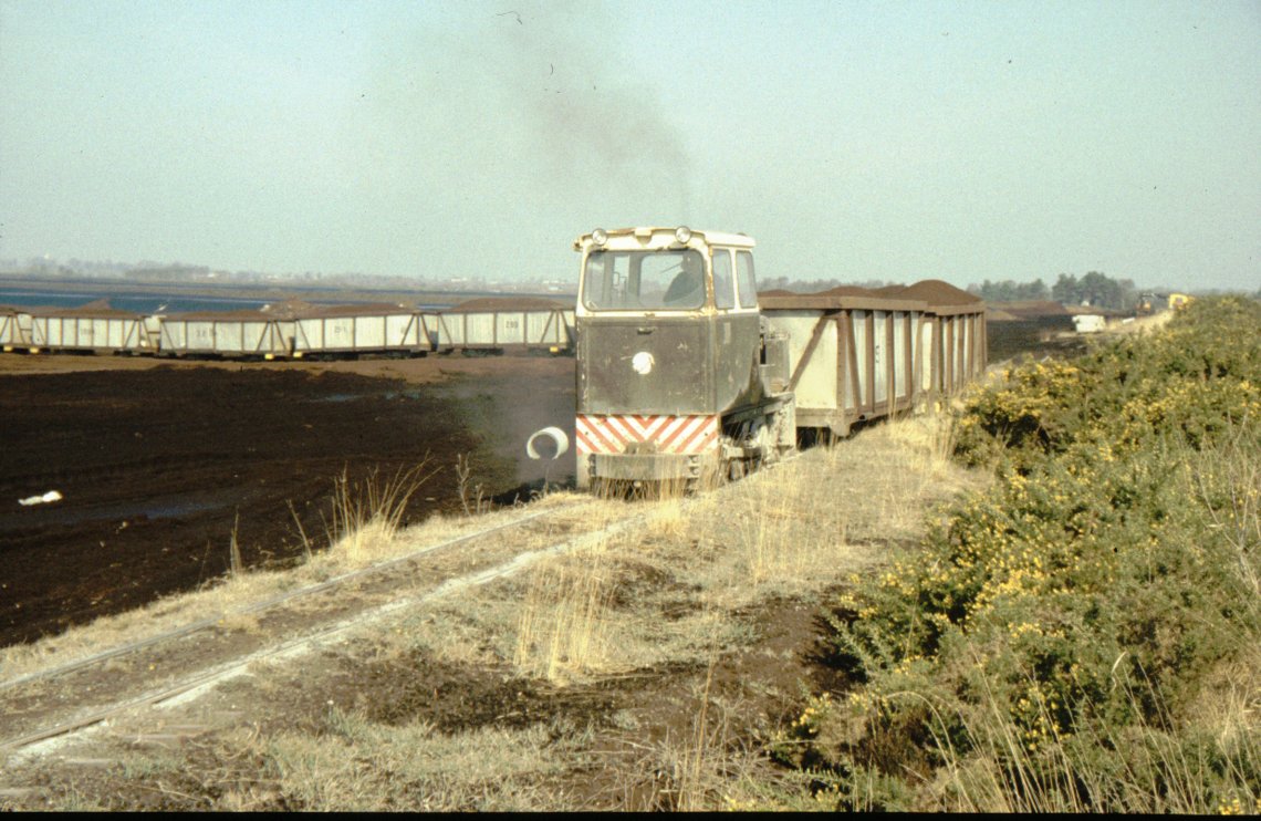 Going for it near Boora