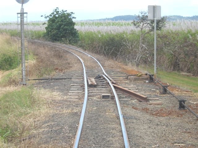 2 foot crosses 3ft 6 inches at Mundoo.