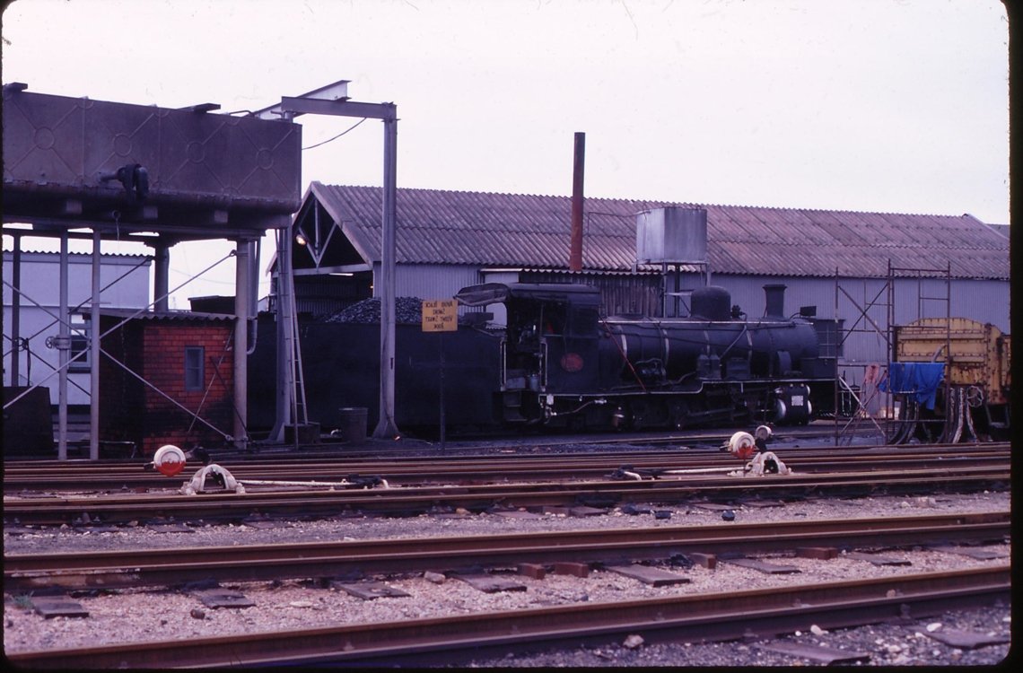 NG steam loco 2
