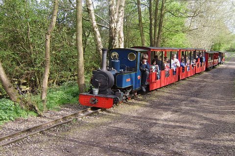 Merlin, heading towards the dam