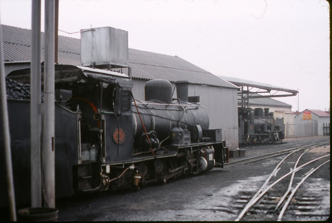 NG steam loco 4