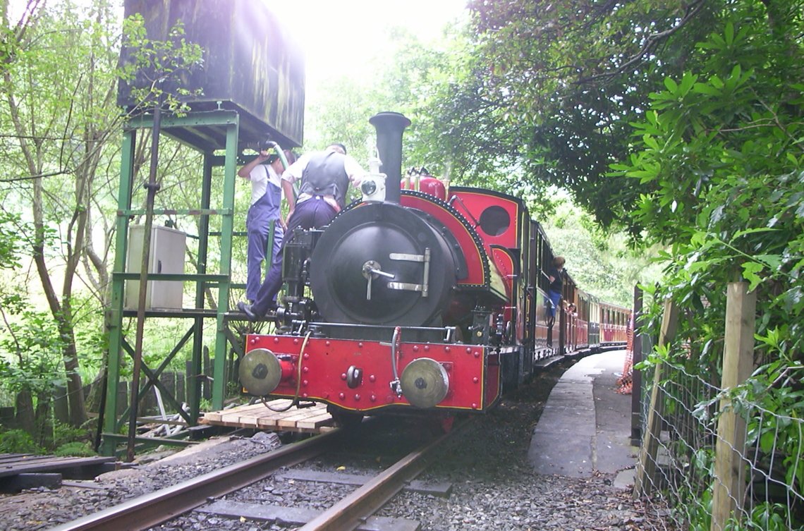 No.3 at Dolgoch