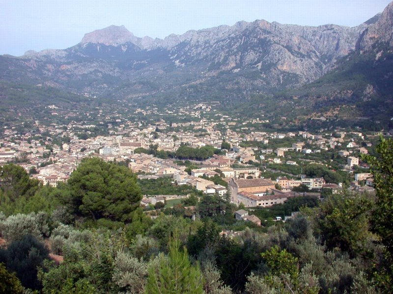 Soller