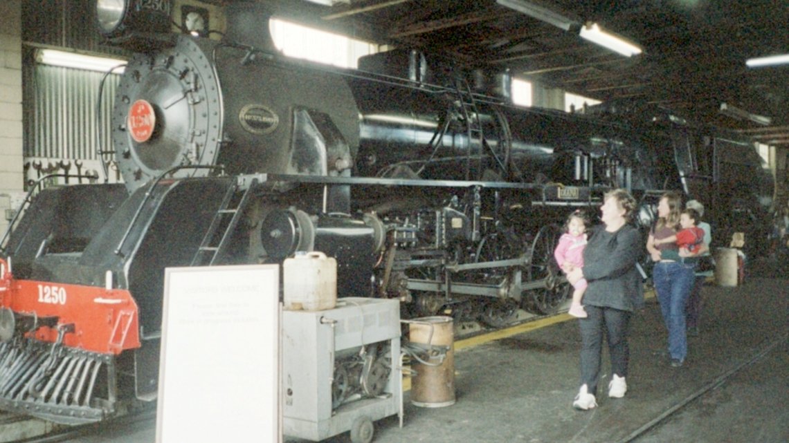 Diana on Shed