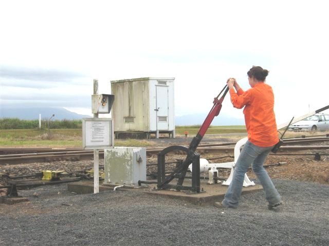 2 foot crosses 3ft 6 inches at Mundoo.