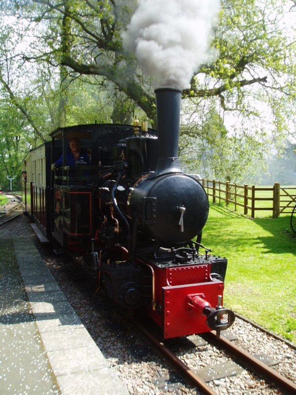 Limpopo entering Warren's Wood Station