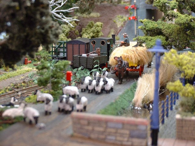 Herding sheep on Newton Road