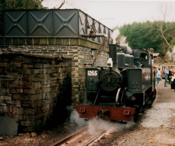 Alco at Tan-y-Bwlch