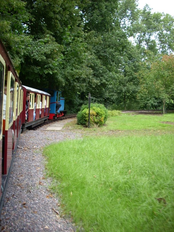 A view from the train