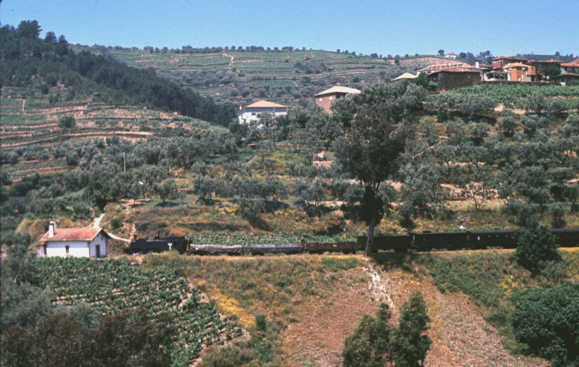 Train leaving Carrazedo