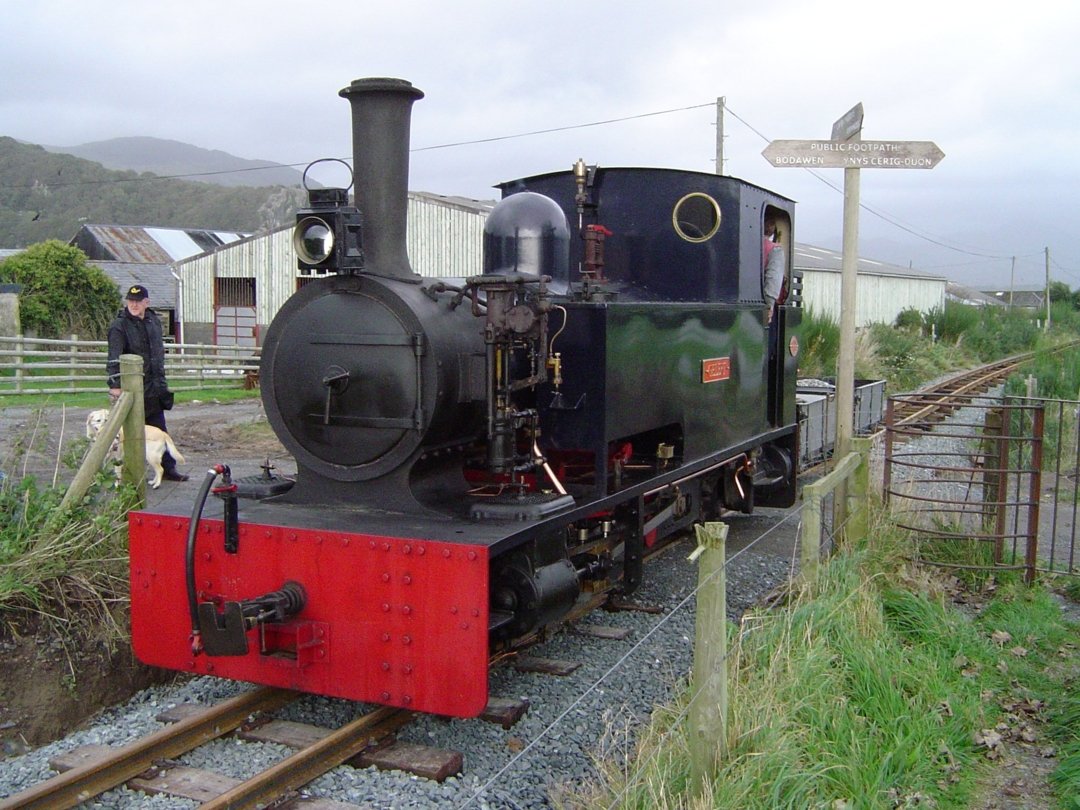 Steam shunting