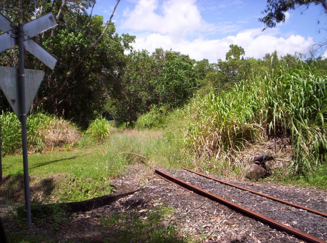 There is track there, somewhere