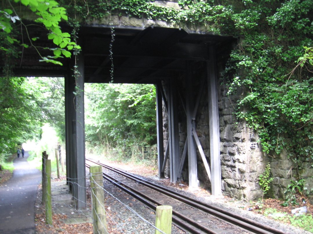 Reinforced Bridge