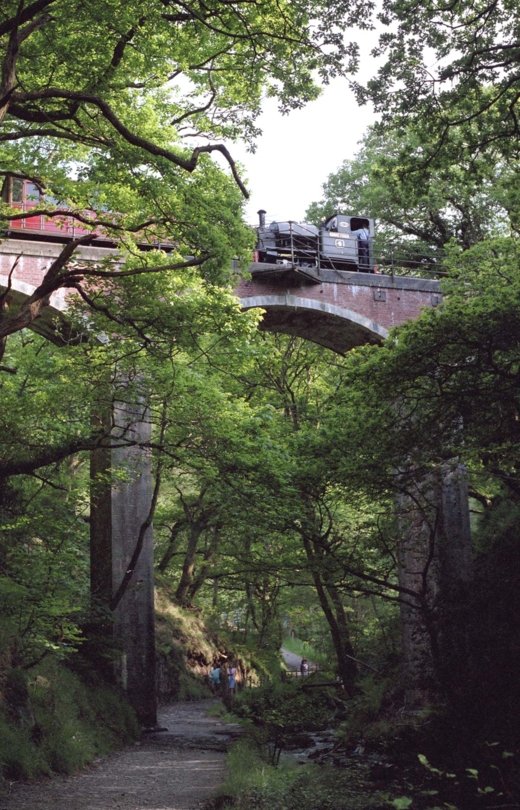 Edward Thomas at Dolgoch