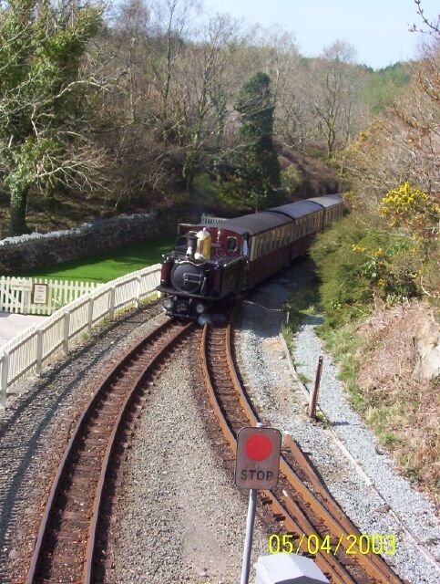 Taliesin at Tan-y-Bwlch