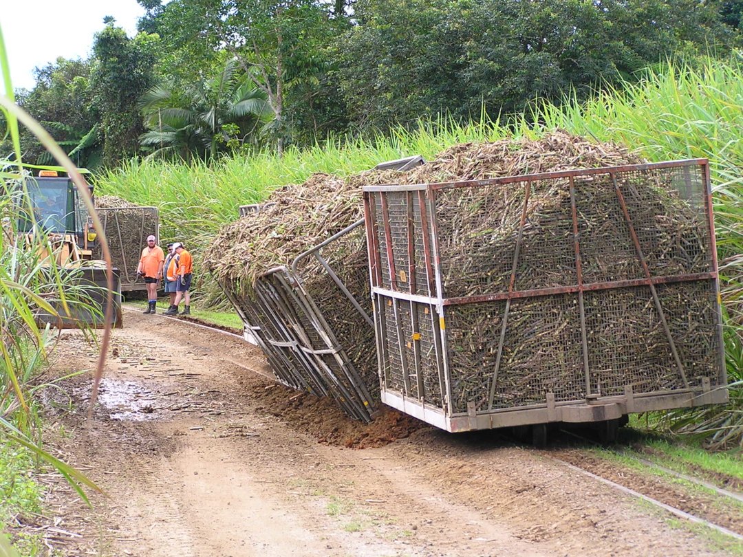 Babinda Mill area, Barracks Loop, Bins off.2007