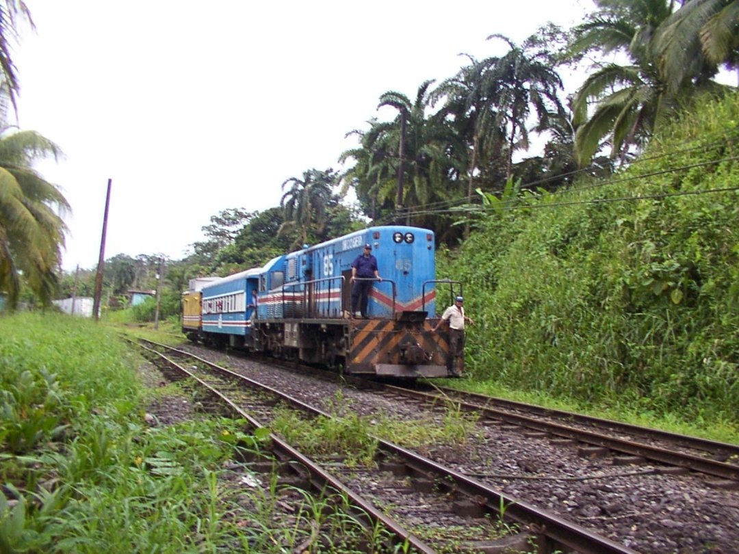 Works train at Freehold