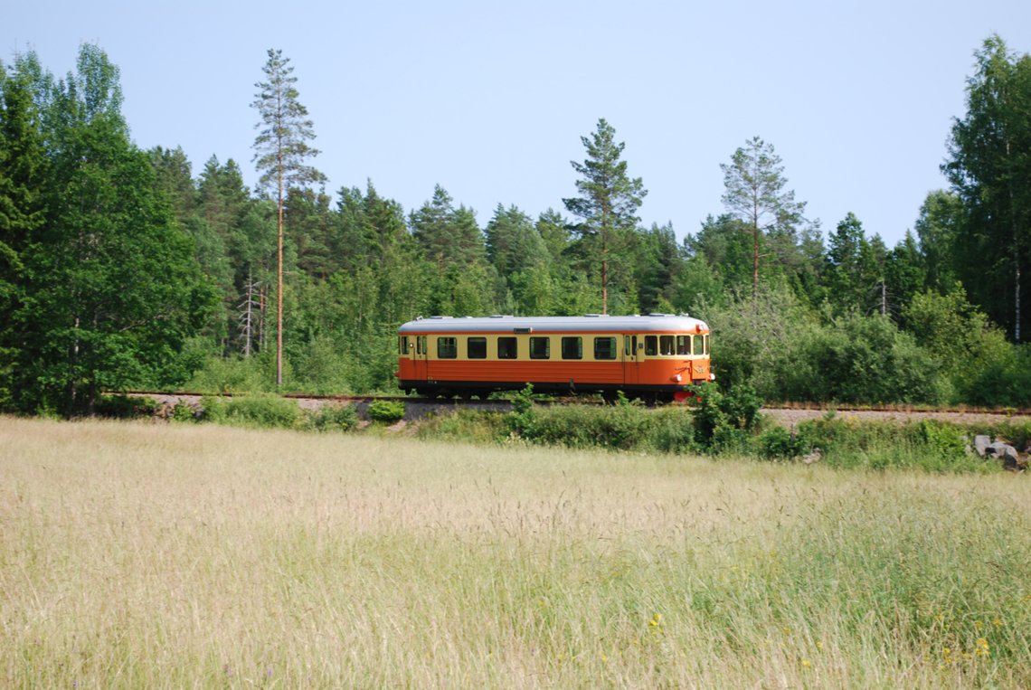 Swedish summer!