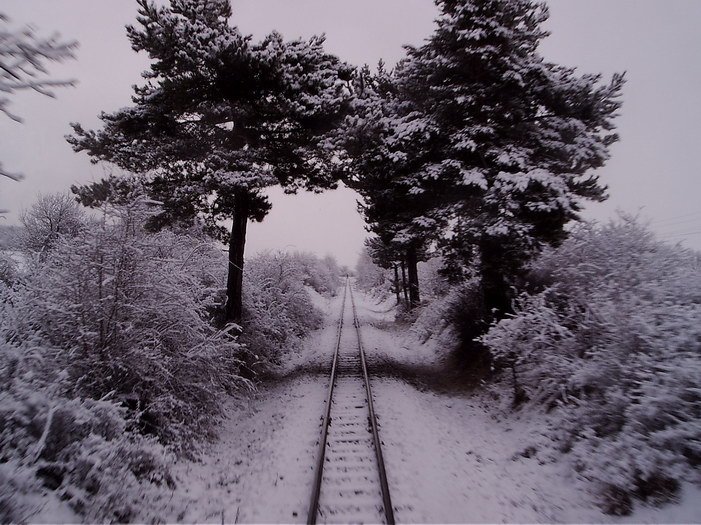 The Septemvri-Dobrinishte mountain narrow gauge railway