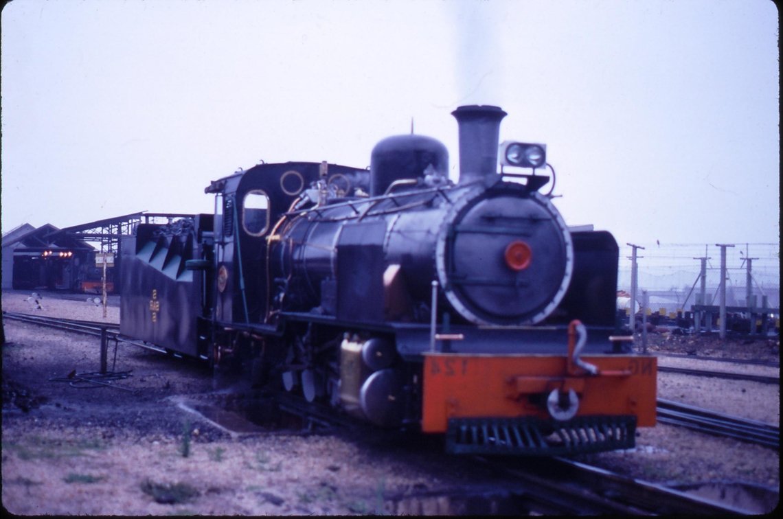 NG steam loco 1