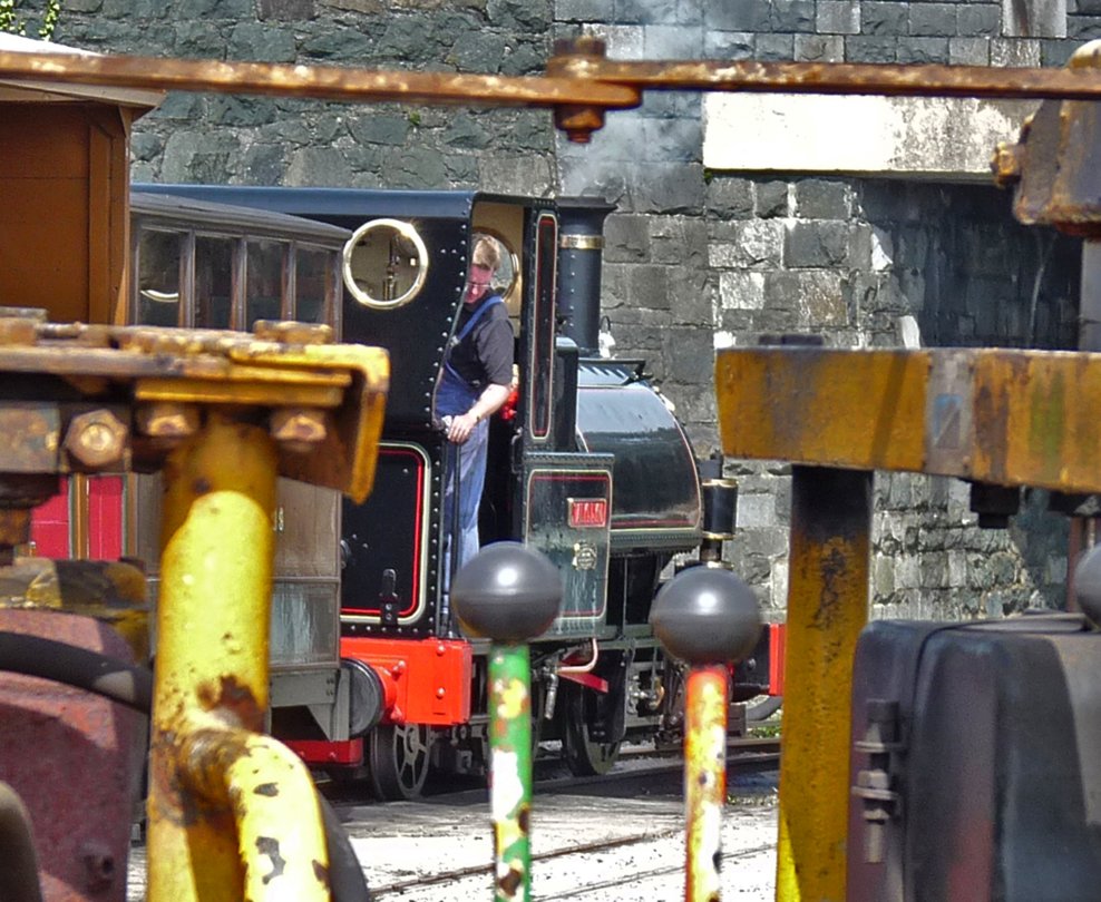 A glimpse of Talyllyn