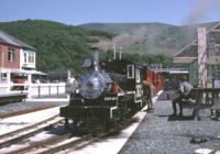 Sydney at Fairbourne