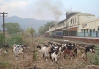 Mettapalayam station