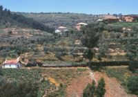 Train leaving Carrazedo