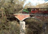 Douglas on Dolgoch viaduct