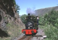 Dolgoch