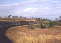 Tazara express train