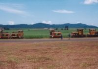 Locos from L - R  #15, 17, 14, 10 (unnumbered but named Russell) and Josephine #1.