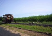 Track Aligning and sleeper repacking machine