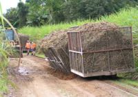 Babinda Mill area, Barracks Loop, Bins off.2007