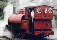 "Sir Haydn"