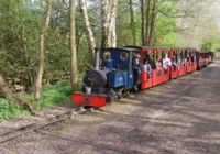 Merlin, heading towards the dam