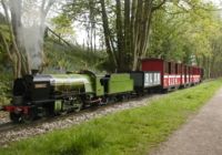 waverley and the bluebells