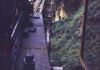 Crossing timber trestle