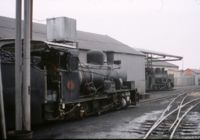 NG steam loco 4