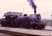 Knysna line steam loco