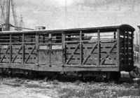 CATTLE TRUCKS at the HARBOR